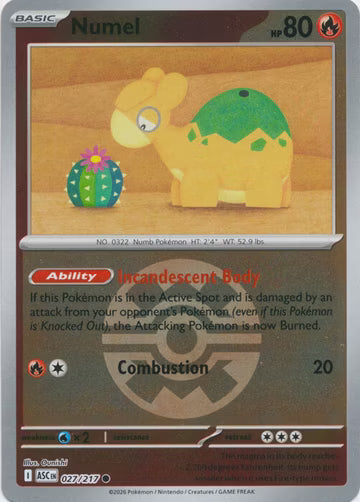 Ascended Heroes - 027/217 - Numel - Ball Reverse Holo