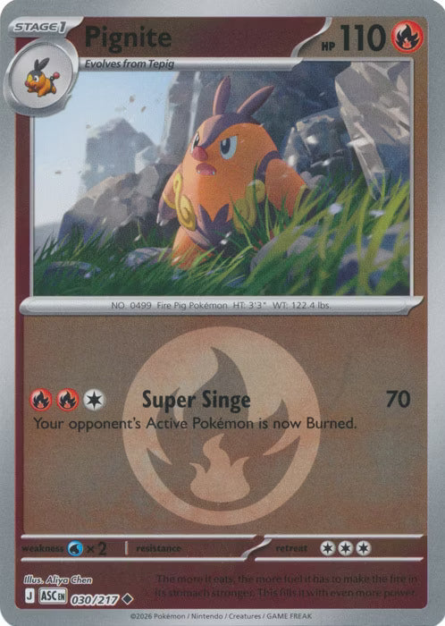 Ascended Heroes - 030/217 - Pignite - Energy Reverse Holo