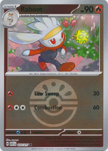 Ascended Heroes - 037/217 - Raboot - Ball Reverse Holo