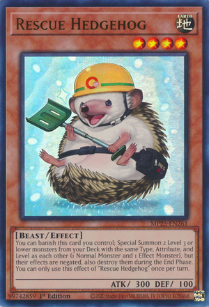 MP25-EN261 - Rescue Hedgehog