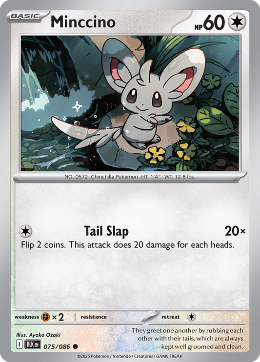 Black Bolt - 075/086 - Minccino