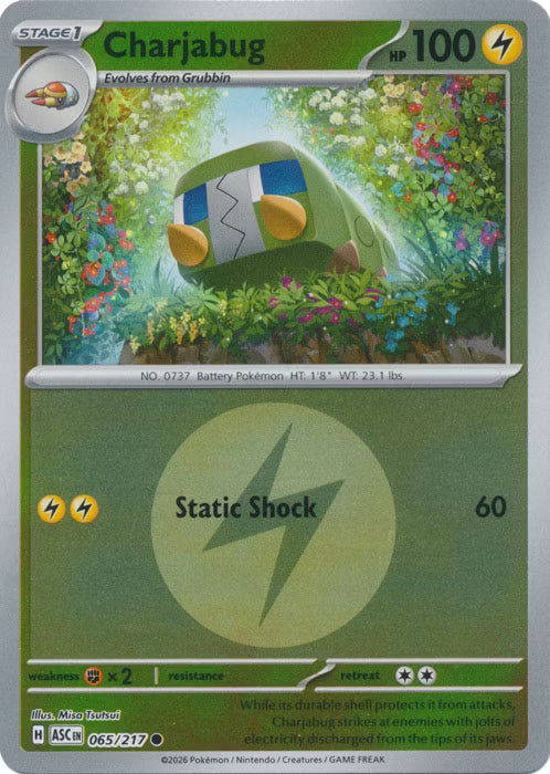 Ascended Heroes - 065/217 - Charjabug - Energy Reverse Holo