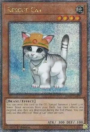 RA02-EN001 - Rescue Cat