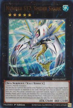 BLMM-EN037 - Number S37: Spider Shark