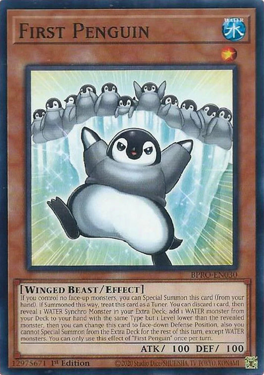 BPRO-EN030 - First Penguin
