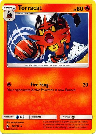 Unbroken Bonds - 028/214 - Torracat